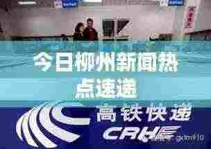 今日柳州新闻热点速递