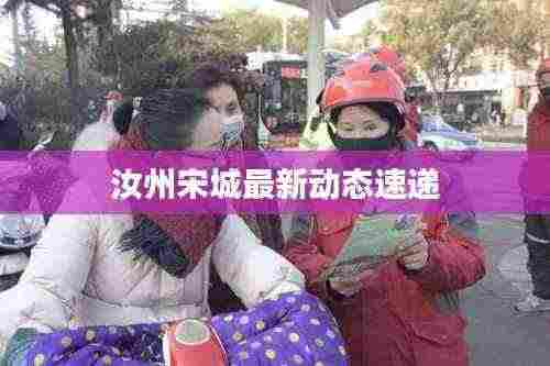 汝州宋城最新动态速递