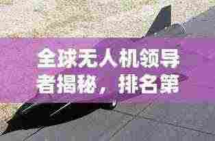 全球无人机领导者揭秘，排名第一企业的奥秘探索