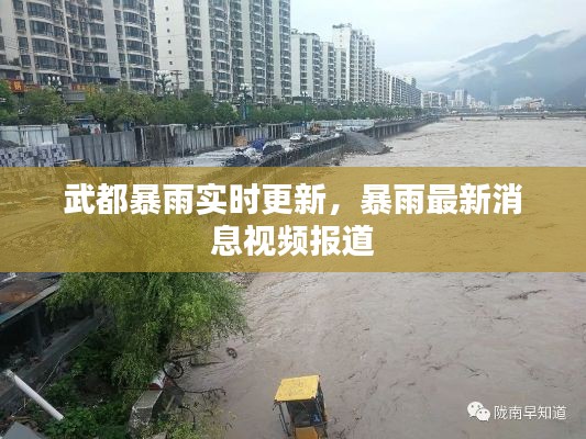 武都暴雨实时更新，暴雨最新消息视频报道
