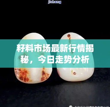 籽料市场最新行情揭秘,今日走势分析