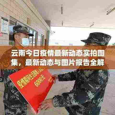 云南今日疫情最新动态实拍图集，最新动态与图片报告全解析