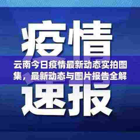 云南今日疫情最新动态实拍图集,最新动态与图片报告全解析