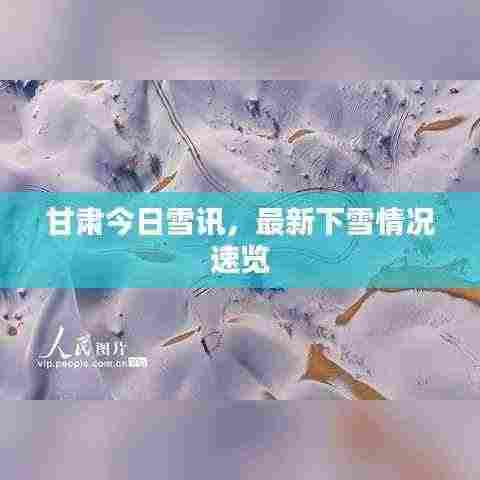 甘肃今日雪讯,最新下雪情况速览
