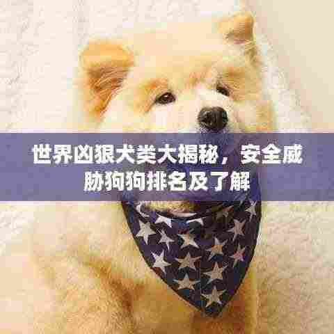 世界凶狠犬类大揭秘,安全威胁狗狗排名及了解