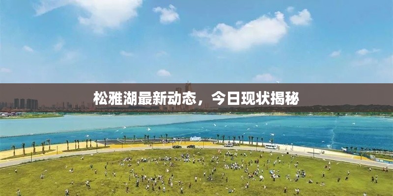 松雅湖最新动态，今日现状揭秘