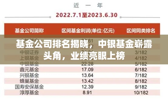 基金公司排名揭晓,中银基金崭露头角,业绩亮眼上榜