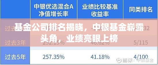 基金公司排名揭晓,中银基金崭露头角,业绩亮眼上榜