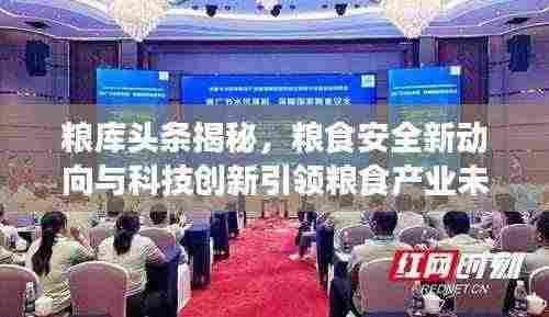 粮库头条揭秘,粮食安全新动向与科技创新引领粮食产业未来