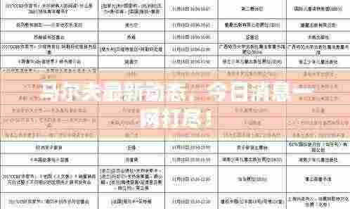 马尔夫最新动态，今日消息一网打尽！