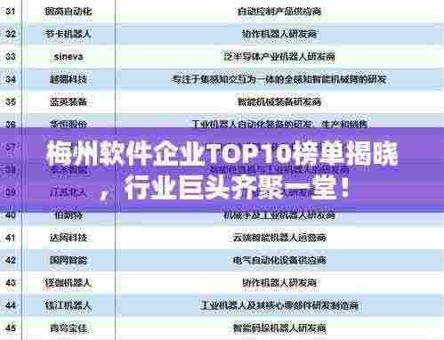 梅州软件企业TOP10榜单揭晓，行业巨头齐聚一堂！