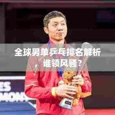 全球男单乒乓排名解析,谁领风骚?