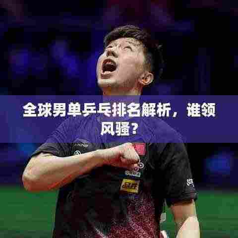全球男单乒乓排名解析,谁领风骚?
