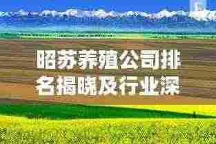 昭苏养殖公司排名揭晓及行业深度分析