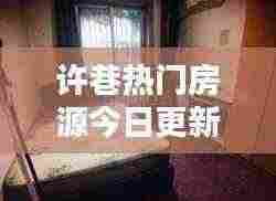 许巷热门房源今日更新，租房最新信息一网打尽