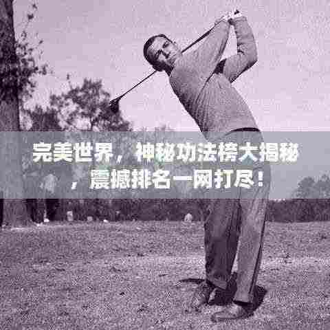 完美世界，神秘功法榜大揭秘，震撼排名一网打尽！