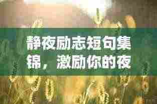 静夜励志短句集锦,激励你的夜晚语录