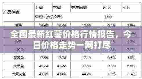 全国最新红薯价格行情报告，今日价格走势一网打尽