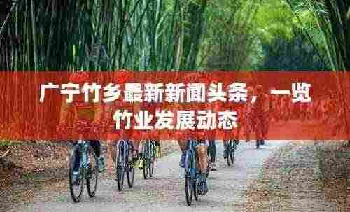 广宁竹乡最新新闻头条，一览竹业发展动态