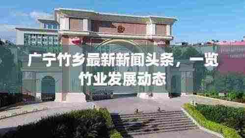 广宁竹乡最新新闻头条,一览竹业发展动态