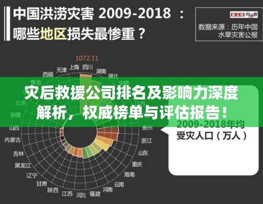 灾后救援公司排名及影响力深度解析，权威榜单与评估报告！