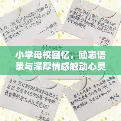 小学母校回忆,励志语录与深厚情感触动心灵