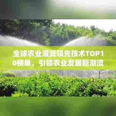 全球农业灌溉领先技术TOP10榜单，引领农业发展新潮流