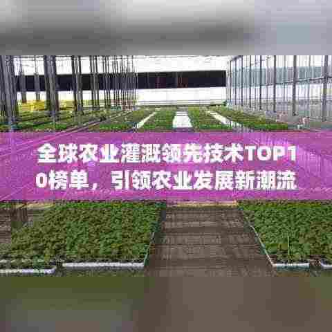 全球农业灌溉领先技术TOP10榜单,引领农业发展新潮流