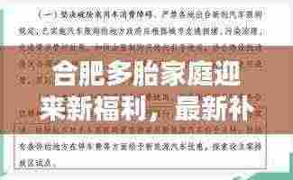 合肥多胎家庭迎来新福利,最新补贴政策解读!