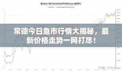 常德今日鱼市行情大揭秘，最新价格走势一网打尽！