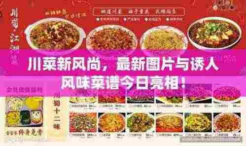 川菜新风尚,最新图片与诱人风味菜谱今日亮相!