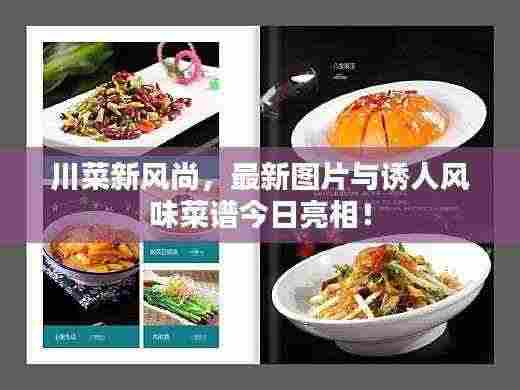 川菜新风尚,最新图片与诱人风味菜谱今日亮相!