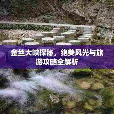 衣无二彩 第3页