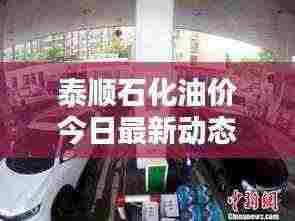 泰顺石化油价今日最新动态报告，油价走势一网打尽！