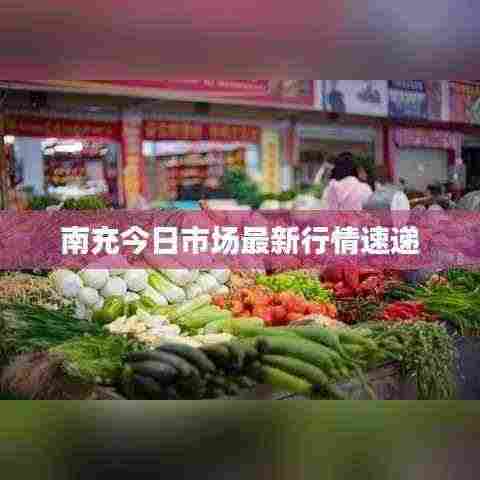 南充今日市场最新行情速递