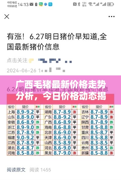 广西毛猪最新价格走势分析,今日价格动态揭秘