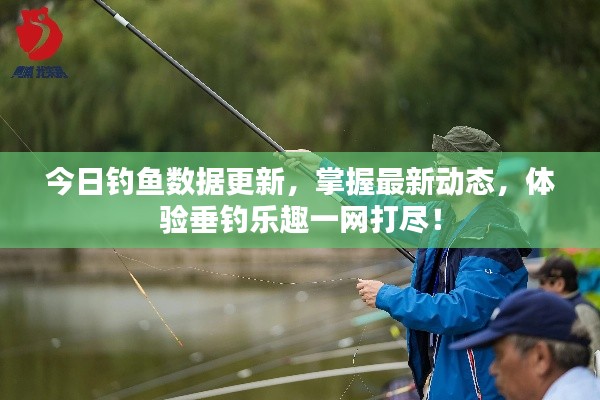 今日钓鱼数据更新,掌握最新动态,体验垂钓乐趣一网打尽!