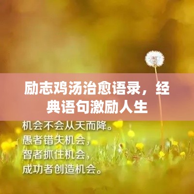 励志鸡汤治愈语录,经典语句激励人生