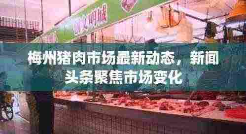 梅州猪肉市场最新动态，新闻头条聚焦市场变化