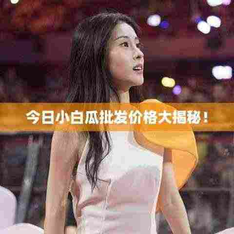 今日小白瓜批发价格大揭秘!