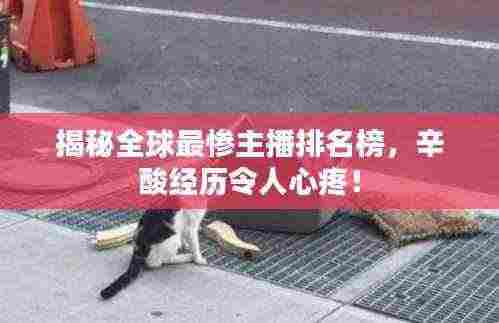 揭秘全球最惨主播排名榜,辛酸经历令人心疼!