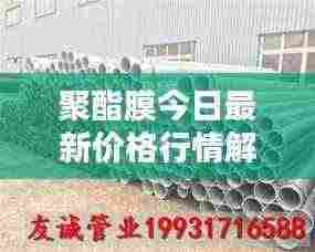 聚酯膜今日最新价格行情解析