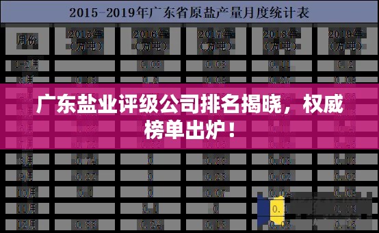广东盐业评级公司排名揭晓，权威榜单出炉！