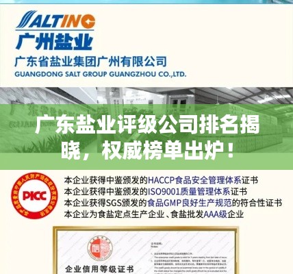 广东盐业评级公司排名揭晓,权威榜单出炉!