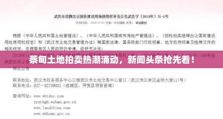 蔡甸土地拍卖热潮涌动,新闻头条抢先看!