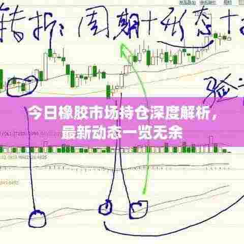 今日橡胶市场持仓深度解析,最新动态一览无余