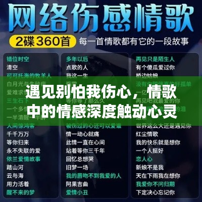 遇见别怕我伤心，情歌中的情感深度触动心灵，百度收录推荐！