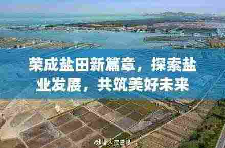 荣成盐田新篇章,探索盐业发展,共筑美好未来