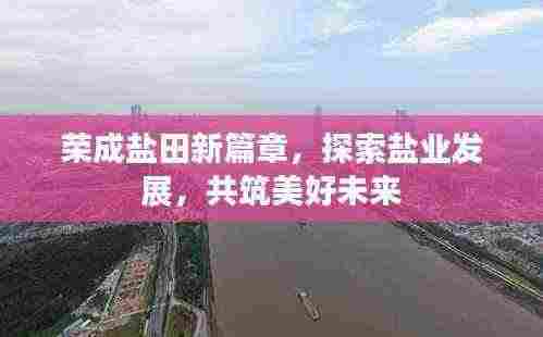 荣成盐田新篇章,探索盐业发展,共筑美好未来