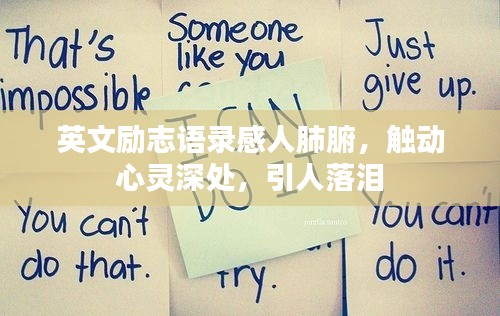 鸟入樊笼 第3页